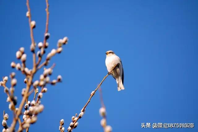 领导总说年轻人心思要宽广一些,不要总计较工资多少,该怎么办？