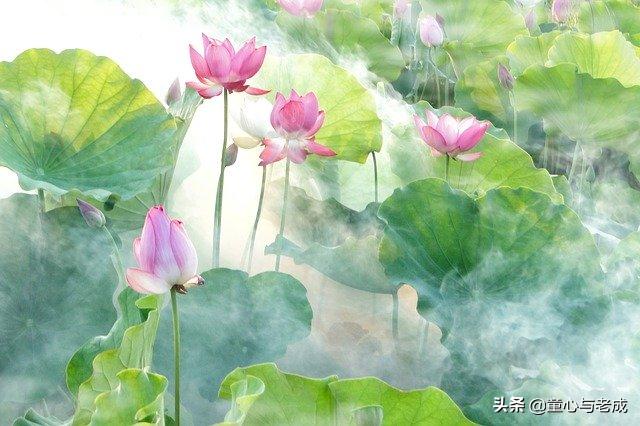 “格物致知诚意正心,修身齐家治国平天下”如何以儒道自我修行？