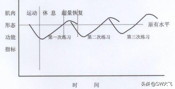 有哪些相见恨晚的运动常识