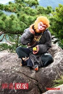 孙悟空的资料:《西游记》原著中孙悟空的相貌分明十分丑，为何还会被称为美猴王