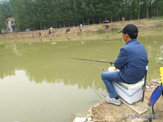 巴西哩鱼的生活习性:巴西龟能和草龟放在一起养吗？ 巴西亚鱼生活习性