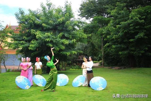 傣族简介:帮我介绍一下傣族的起源和历史？