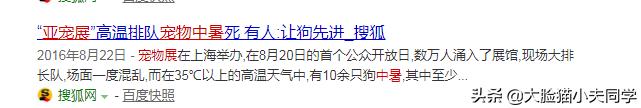 法国斗牛犬吧:什么事让法国斗牛犬极其容易发生意外死亡呢？ 法国斗牛犬吧 百度贴吧