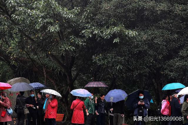 雨夜是一个什么样感觉？
