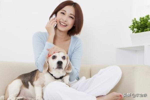 螨虫怎么治疗(螨虫要怎么杀死)