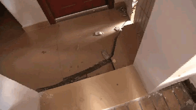 六楼不是一般人能住的,总高33层，五楼和六楼位置怎么样？