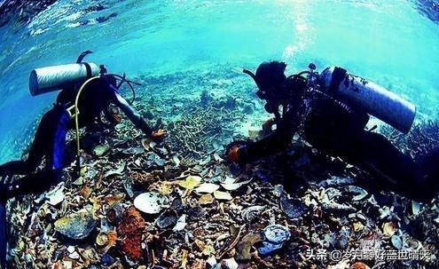 马航事件真相:二战时阿波丸号究竟带了什么日本兵集体自杀是为了保护什么秘密