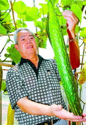 神舟九号发射:祝贺神舟十二成功发射！但为什么每次都要带种子上去？