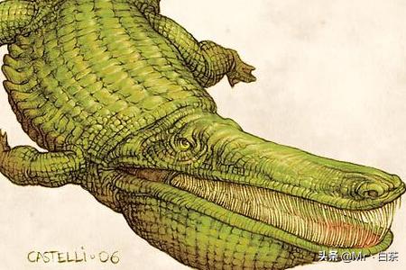 普鲁斯鳄最大有几米:史前四大最大型鳄鱼排名，帝鳄生吞霸王龙（水中霸主）？