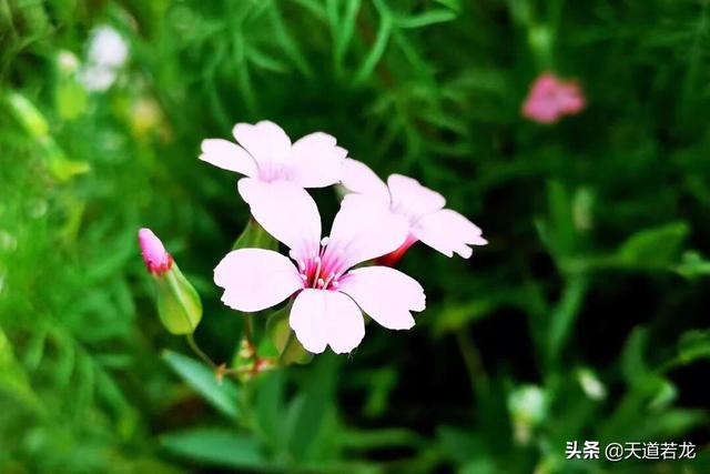 上一届常委:曾经风光无限的女领导，现在退线都没人理她。其他单位也一样吗？