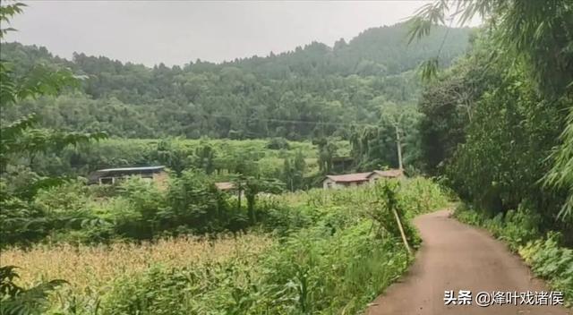 四川男子杀妻肢解:四川中江男子离婚路上杀妻，对此你怎么看