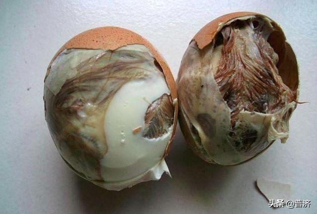 毛蛋补肾吗，毛蛋真的比鲜鸡蛋有营养吗毛蛋有哪些营养价值