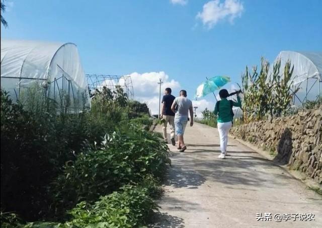 预言天下大乱暴羊出，马云说“致富未来在农村”, 那么农村未来的致富人群是哪类人