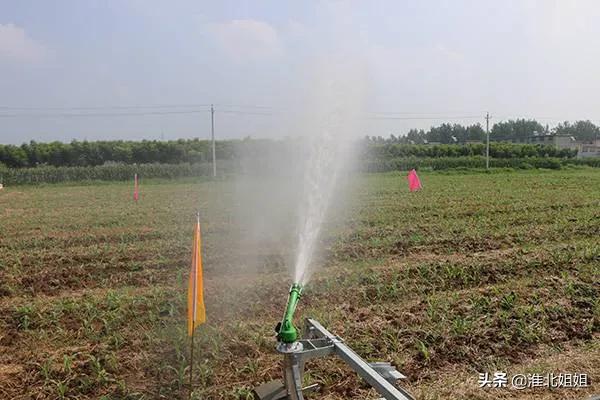 梦见井里都是油,农民种地天不下雨，井水抗旱能丰收吗？