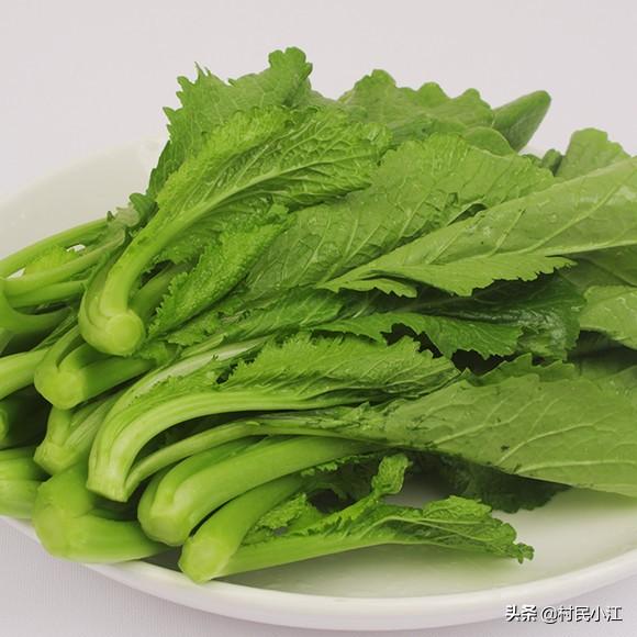 农村夏季有多少种野菜？