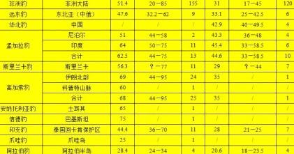 山地大猩猩之:山地大猩猩之母 银背大猩猩打不过花豹是谣言吗？