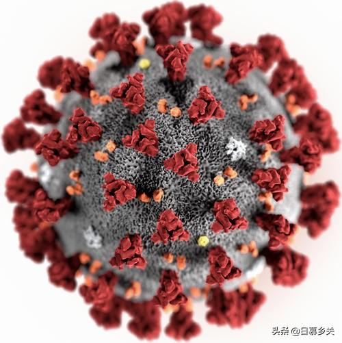 非典人数:为什么非典没全世界大爆发，而新冠肺炎会爆发