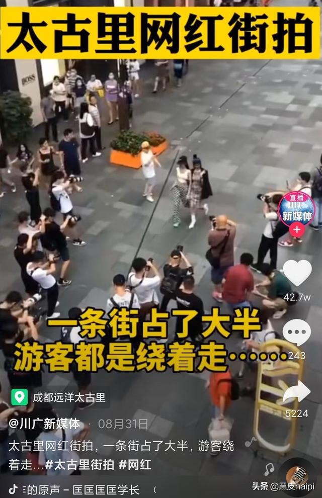 长沙狗狗网红:重庆，成都，西安，长沙谁能称网红第一城？