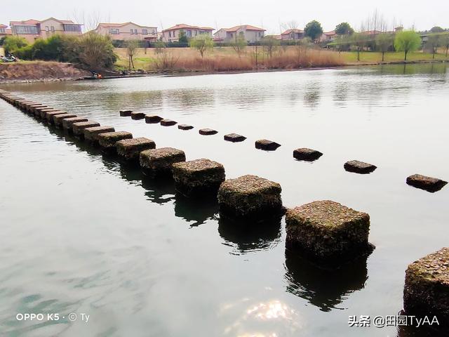 阿牛的歌:请根据阿牛的《桃花朵朵开》的歌词，拍摄出一套摄影组图？