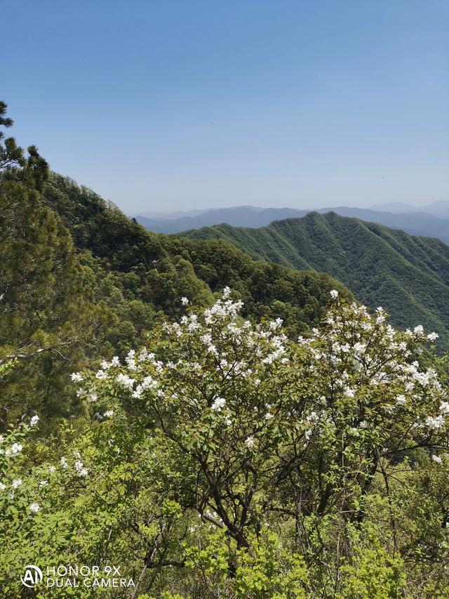 老了你还想不想回老家生活呢？是选择落叶归根还是选择繁华？