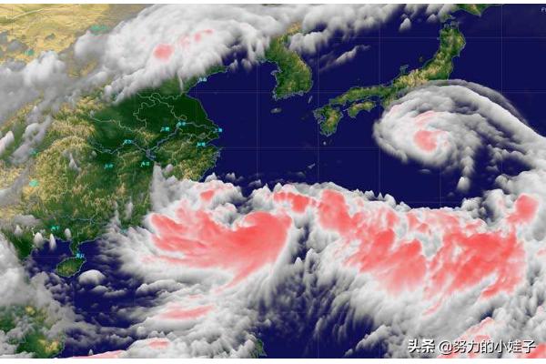 这次台风防御的重点区域在哪，台风风力最大的部位是那里