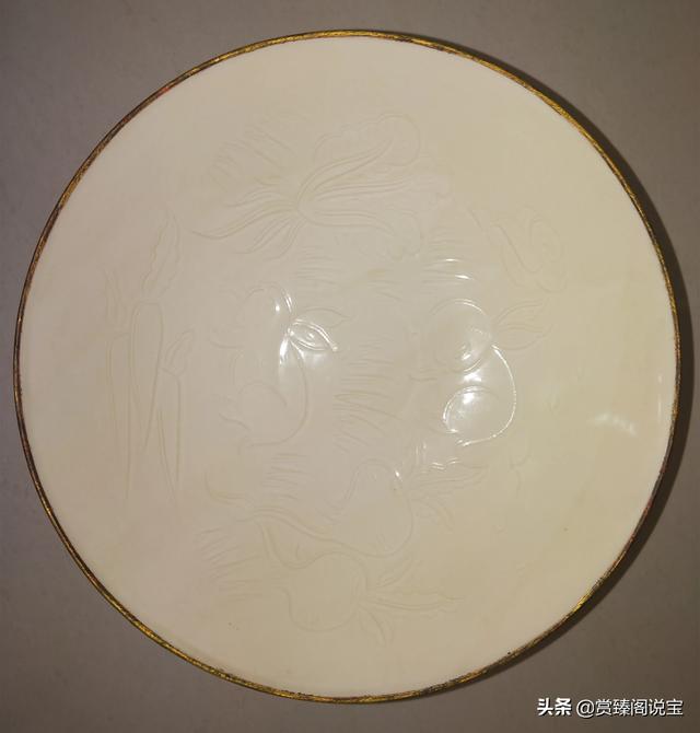 挖到金钱活门蛛怎么办:自己挖出来的文物是否需要上交国家？