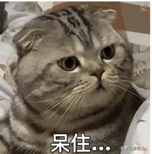 分享一下善良人的面相是什么样的？