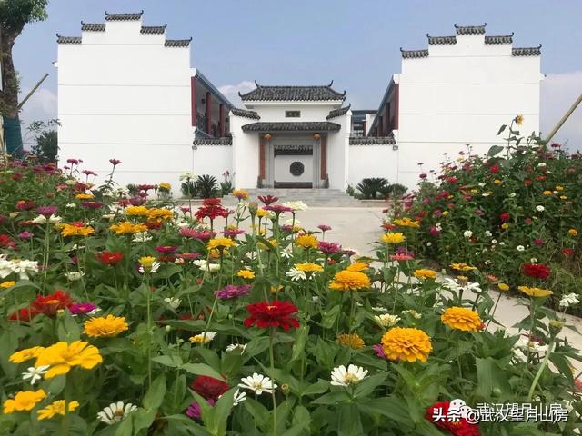 修水縣畢業證樣本圖片(修水縣檔案)