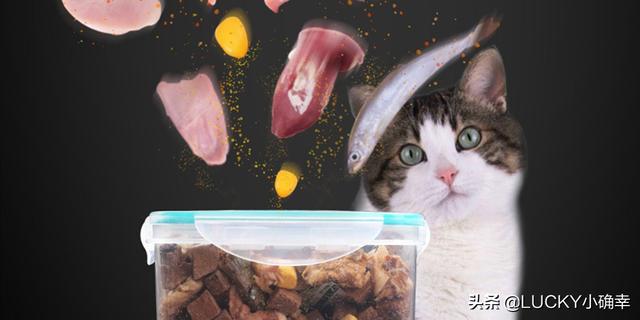 自制猫粮烤干:封城期间，如果猫粮、鱼粮用完了，你们都咋办的？