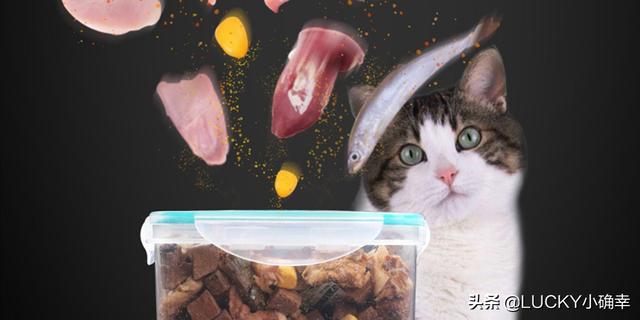 皇家奶糕罐头是主食罐吗:慕斯奶糕罐头是主食罐头吗 封城期间，如果猫粮、鱼粮用完了，你们都咋办的？