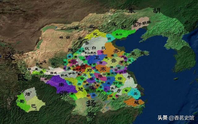 家养大鹅的祖先:为什么农村里养的一些鹅爱追着人跑是什么原因