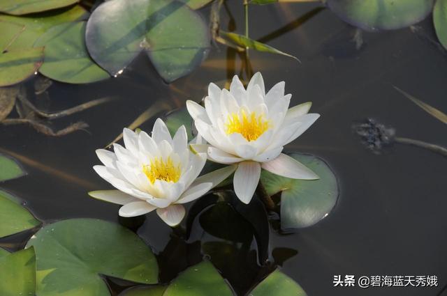 杭州杀妻案对现代婚姻家庭带来什么警示？如何正确处理夫妻关系？