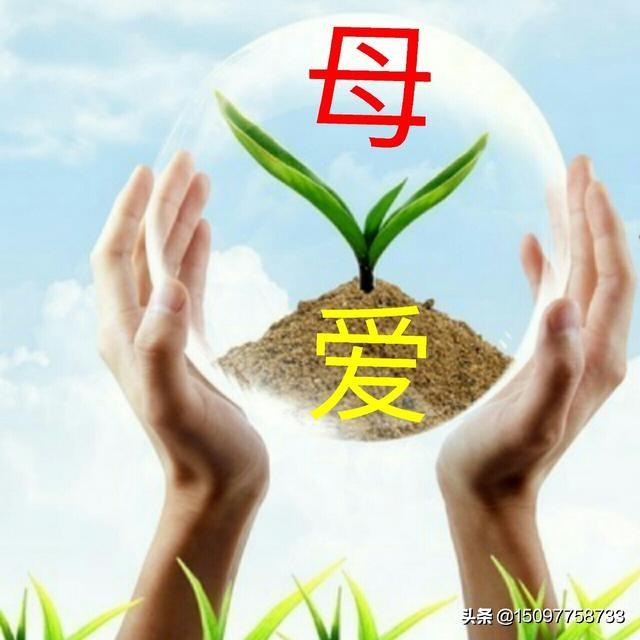 你心中最经典的一句歌词是什么？