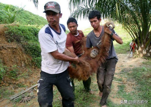 郑州的诡异事件和地区，你听过哪些“骇人听闻”的真实事件