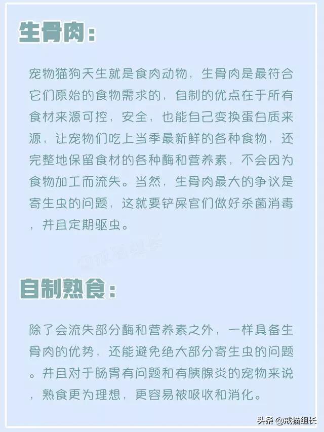 闲鱼自制猫粮:要想俘获主子的心，就要抓住它的胃，如何制作美味又健康的猫食？