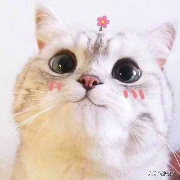 微信动图如何保存到电脑:微信中的收藏的自定义动态表情，如何导入电脑中保存？