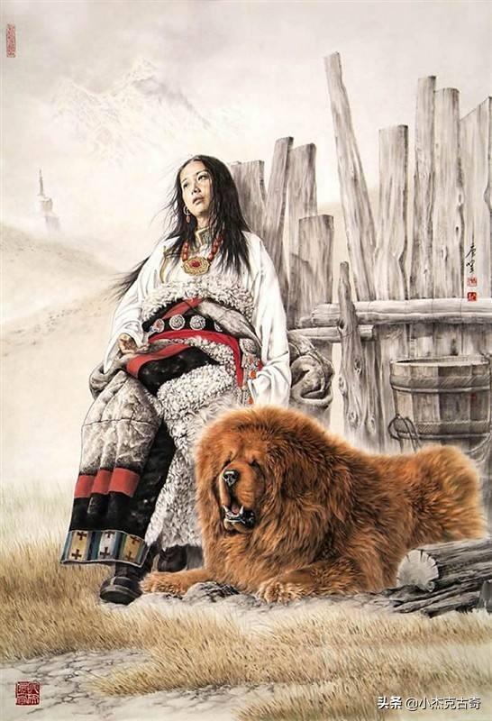 牧羊犬狗:在一窝德牧幼犬中，如何挑选一只好的幼犬？