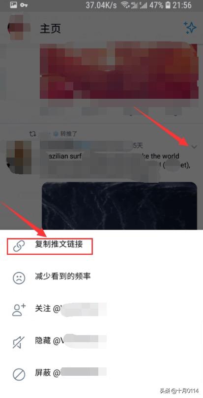 怎么下载推特，twitter怎么保存视频