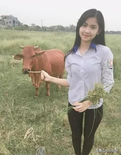 男左女右 缅甸猫:为什么要“男左女右”？为什么不能反过来呢？
