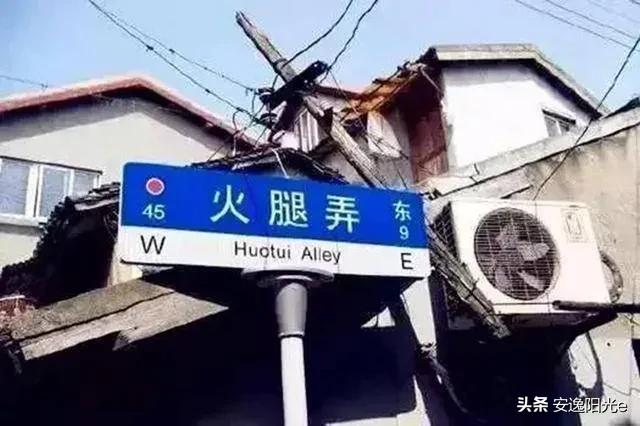哥伦比亚盆地侏儒兔的个人空间:你见过哪些奇特的街名或巷名？