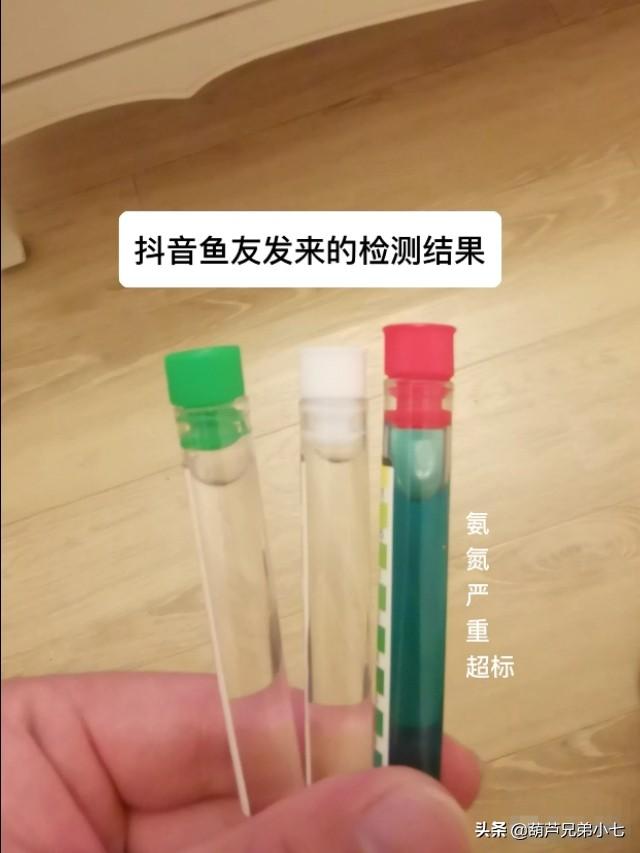 普及宠物狗知识贴:关于宠物狗的科普知识 有哪些实用的养宠小知识？