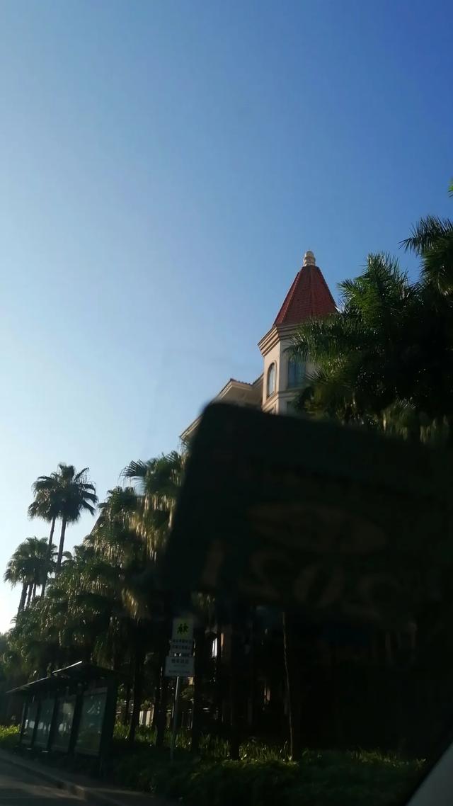 武穴市哈士奇模仿婴儿爬行纯正:怎么看待公司让女员工互扇耳光，扇的越重就代表越有狼性？