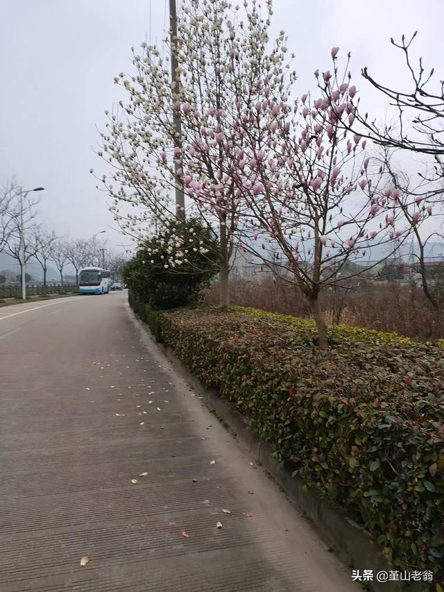 小红书几点发比较容易热门