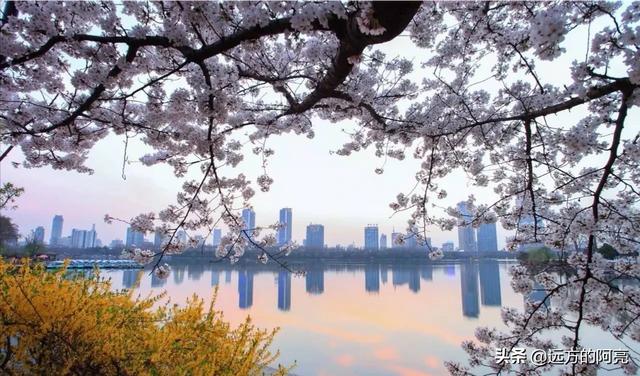 南京滨江公园复工:南京想约个小伙伴一起外出玩，去哪里最合适？