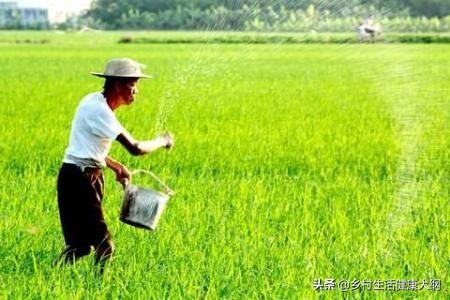 如何减少化肥，农药，除草剂，人工合成激素的用量？
