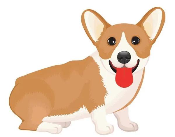 2022生肖牛运势运程七星堂,无论到哪都很受追捧的生肖有哪些？