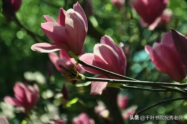 有什么歌的歌词写得像诗词一样？