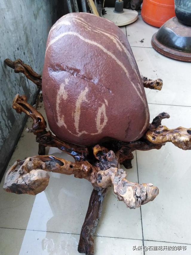 天然大化石原石图片,你收藏的天然奇石有哪些已经升值了？