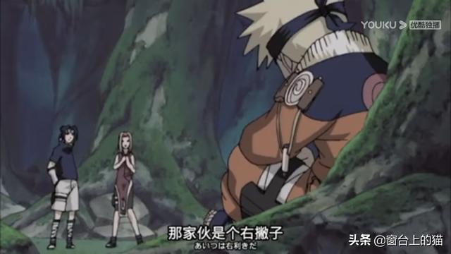 监考猫:中忍考试期间春野樱是最弱的吗？