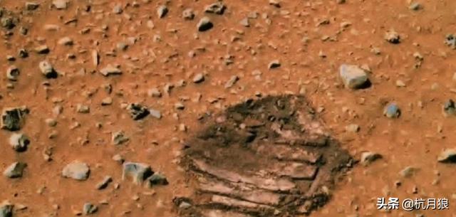不明生物图片吓人，火星上存在地外生物？NASA疑似拍到不明生物，这东西是什么？
